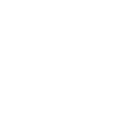 项目文章