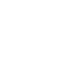 影响因子